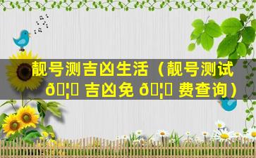 靓号测吉凶生活（靓号测试 🦟 吉凶免 🦋 费查询）